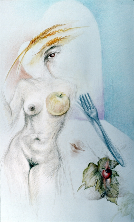 illustrazione per il libro les couleurs de la vie